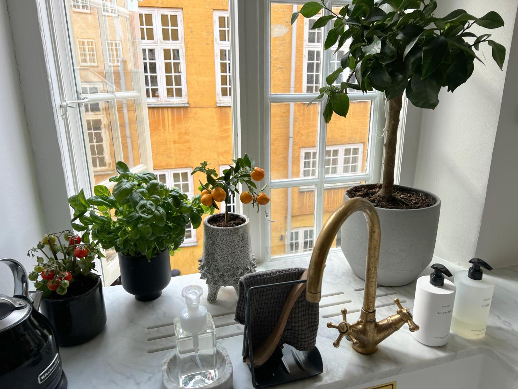 Luxury 'Kings Garden View' 260M2 Prime Located Flat Copenhaga Exterior foto